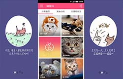 安菲科技APP开发-开发养猫人士必备app 新手铲屎官知识库