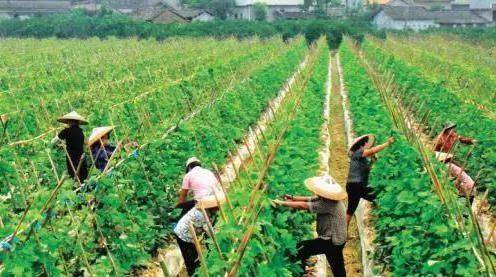 安菲科技APP开发-共享农场APP评测 共享农场APP怎么样