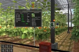 安菲科技APP开发-农业区块链APP开发如何进行首页排版设计