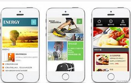 安菲科技APP开发-快消品行业手机软件开发