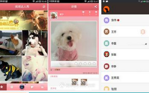 安菲科技APP开发-宠物社区服务APP定制开发