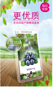安菲科技APP开发-生鲜电商O2OAPP开发如何抓住万亿级市场商机