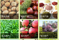 安菲科技APP开发-农业电商APP开发流程