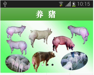 安菲科技APP开发-互联网+大潮下 养猪APP定制开发势在必行