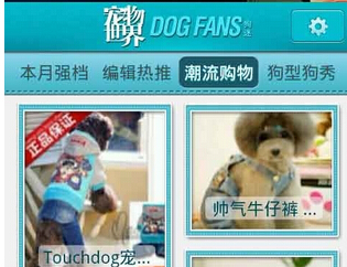 安菲科技APP开发-宠物软件开发该如何引爆宠物市场