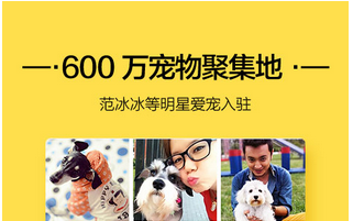 安菲科技APP开发-宠物社区app开发 该如何收割粉丝