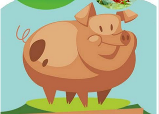 安菲科技APP开发-解读养猪APP开发 满满都是生意经