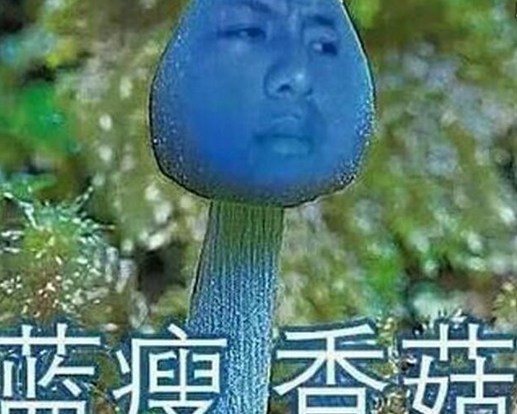 安菲科技APP开发-网约车新政 蓝瘦香菇 