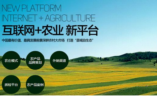 安菲科技APP开发-1700亿 农村电商市场很大 