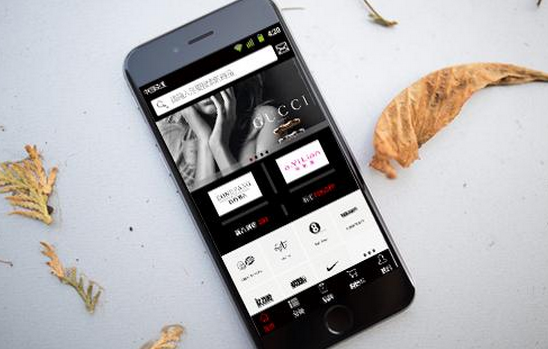 安菲科技APP开发-电商app开发有多火 Chanel也来插一脚