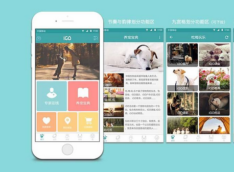 安菲科技APP开发-宠物社交APP开发轻松交宠物友