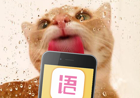 安菲科技APP开发-灵魂社交app开发 做一个有灵魂的人