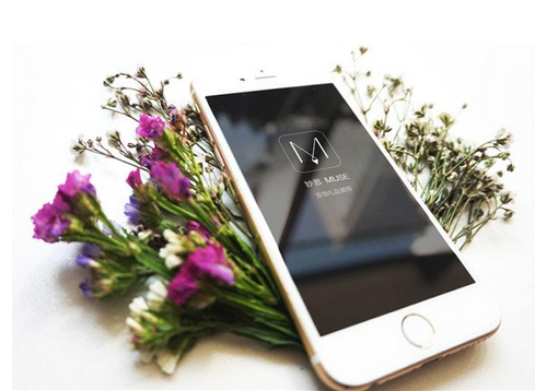 安菲科技APP开发-鲜花配送app开发 送花在弹指之间