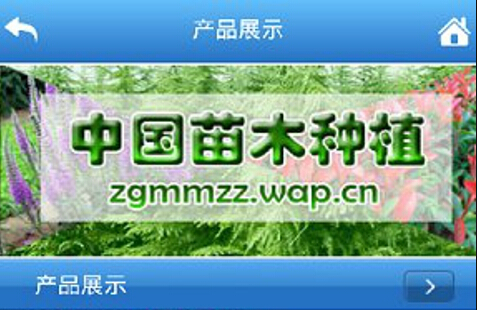 安菲科技APP开发-古树名木app开发 随时查询身边的瑰宝