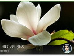 安菲科技APP开发-植物识别app开发 要多简单就有多简单