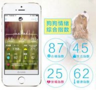 安菲科技APP开发-宠物智能穿戴软件开发异军突起