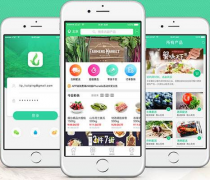 安菲科技APP开发-食材配送app开发到底有多大的商机