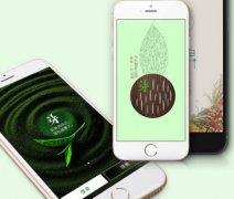 安菲科技APP开发-茶行业软件开发 品牌与零售vv双赢
