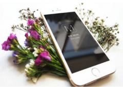 安菲科技APP开发-花卉行业APP开发带来行业新风尚