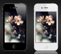 安菲科技APP开发-植物名称查询APP公司优势在哪