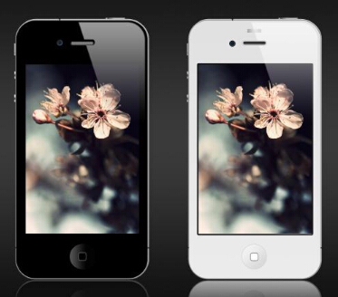 植物名称查询APP公司优势在哪