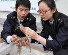 安菲科技APP开发-渔业养殖APP开发解决方案