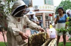 安菲科技APP开发-蜜蜂认养APP开发 要的就是任性