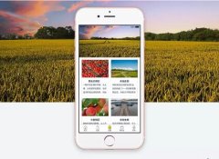 安菲科技APP开发-共享庄园APP开发实现定制化消费