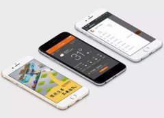 安菲科技APP开发-2017年汽车后市场APP报告