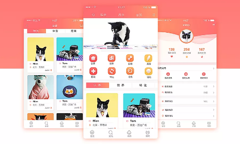 安菲科技APP开发-什么缘由推动动物识别APP开发
