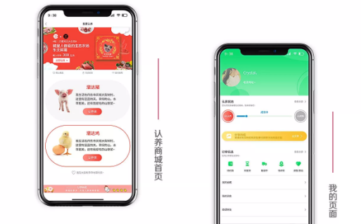 认养监控APP开发