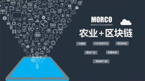 安菲科技APP开发-农业区块链APP开发能解决什么痛点