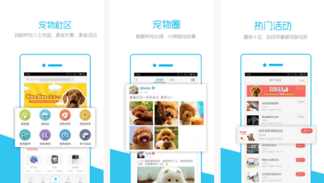 安菲科技APP开发-宠物时间APP点评 宠物时间APP怎么样