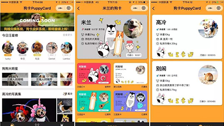 安菲科技APP开发-宠物小程序开发如何引起用户好奇心