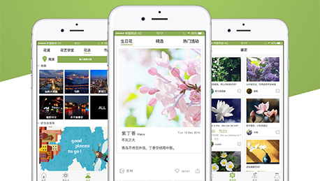安菲科技APP开发-植物识别APP开发带你认识天下植物花卉