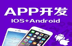 安菲科技APP开发-专业的APP开发公司大概多久能开发一个APP
