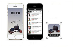 安菲科技APP开发-皮具APP开发案例及功能