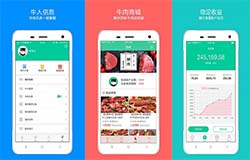 安菲科技APP开发-开发智能养牛APP  实现精准养殖