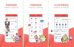 安菲科技APP开发-专用的宠物打车软件开发 带动新型消费市场