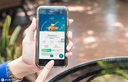 安菲科技APP开发-淘客app开发 自带营销功能的平台