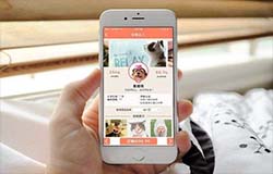 安菲科技APP开发-深度解读宠物电商APP是否有市场