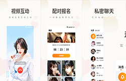 安菲科技APP开发-类似于番茄社区app开发方案