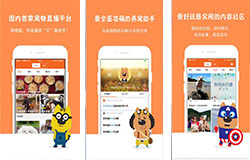 安菲科技APP开发-狗管家app评价 狗管家app好用吗