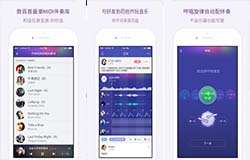 安菲科技APP开发-搜歌APP开发 听好歌就靠它