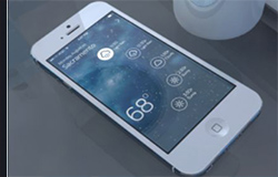安菲科技APP开发-手机软件开发公司欢庆端午
