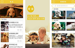 安菲科技APP开发-宠物主义APP点评 宠物主义APP如何