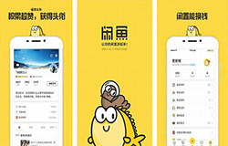 安菲科技APP开发-闲置交易平台闲鱼app点评
