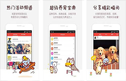 安菲科技APP开发-宠物APP开发 让铲屎官成为养宠专家