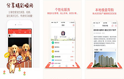 安菲科技APP开发-有宠app评测 有宠app好用吗
