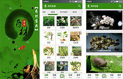 安菲科技APP开发-中医馆APP开发成功原因分析